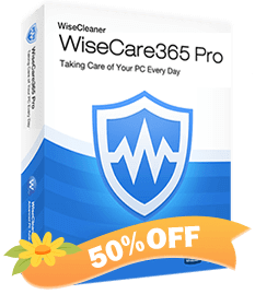Wise care 365